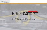 L‘ Ethernet Fieldbus · EtherCAT is: - Velocità - Sincronizzazione - Industrial Ethernet - Flessibile - Configurazione - Economico - Implementazione - Collaudato - Aperto - Conformance
