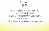 3，DNA$ - SEIKEImiRNA=micro RNAは、遺伝情報 を含まない、非コーディング領域に 存在する短い塩基配列で、RNAに 転写後、切り出されて細胞質中に