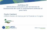 Paolo Cantiani - Compagnia delle Foreste S.r.l. · l’espressione della più importante opera di politica forestale italiana. ... prodotto legnoso di fine ciclo produttivo e la frazione