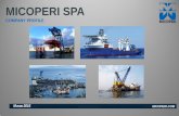MICOPERI SPA Profile (ITA... · Il Company Profile è stato redatto dal Management della Società, che ha svolto la propria analisi sulla base dei dati e delle informazioni fornite