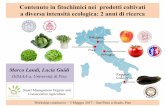Contenuto in fitochimici nei prodotti coltivati a diversa intensità …smoca.agr.unipi.it/wp-content/uploads/2017/05/LANDI.pdf · 2017-05-18 · Workshop conclusivo –5 Maggio 2017