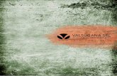 VALSUGANA SRLvalsuganasrl.it/wp-content/uploads/2018/04/CAT_valsugana...2 3 VALSUGANA SRL dal 1994 si occupa in maniera profes-sionale del campo della sabbiatura e microsabbiatura