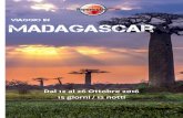 Viaggio in madagascar€¦ · mAdagascar Il Madagascar: una delle più grandi, ma sopratutto più belle isole del mondo! 13 giorni di avventura, natura e relax che ricorderete per
