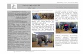 Sette g iorni di Circo 2012/7 Giorni di... · 2017-12-03 · ha spiegato Hanspeter Steinmetz. Il veterinario dello zoo per bambini di Knie, a Rapperswil, ... Oro ai Peres Brothers!