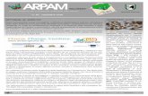 n. 75 - settembre 2015 - ARPA Marche newsletter...ARPAM - Agenzia Regionale per la Protezione Ambientale delle Marche - newsletter n. 75 - settembre 2015 pagina 2 “I FRUTTI DIMENTICATI