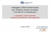 Indagine CNA Federmoda sul settore moda in Italia: Covid ... · Risultati indagine CNA moda: Covid-19 e lockdown Conferma degli investimenti programmati 2020 Focus settoriale (incidenza