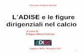 L’ADISE e le figure - F.I.G.C. Basilicatalnx.figcbasilicata.it/wp-content/uploads/2017/01/LADISE... · 2018-08-13 · Direttori Sportivi degli Anni Settanta: Giorgio Vitali, Franco