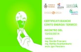 CERTIFICATI BIANCHI CONTO ENERGIA TERMICO · 2018-01-10 · AEEG D.M 21 Dicembre 2007 revisione e aggiornamento del D.M. 20/07/2004 1. nuovi obiettivi quantitativi fino al 2012 (3,5