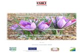 Fondo europeo agricolo per lo sviluppo rurale – l’Europa investe … · 2018-09-27 · RAPPORTO DI VALUTAZIONE ANNUALE 2018 INTRODUZIONE: IL PROGRAMMA E IL SUO CONTESTO Valutazione