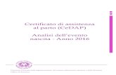 Certificato di assistenza al parto (CeDAP) Analisi dell’evento · 2019-09-18 · Assistenza al Parto (CeDAP). La rilevazione – istituita dal Decreto del Ministro della sanità