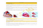 PERICARDITE INTRODUÇÃO Relações anatômicas · PERICARDITE INTRODUÇÃO • Relações anatômicas O pericárdio normal é um saco fibroelástico que envolve o coração, ele
