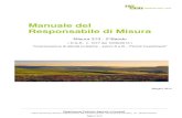 Manuale del Responsabile di Misura · MANUALE 2°BANDO MISURA 313.DOC.PDF _____ Dipartimento Politiche Agricole e Forestali Ufficio Economia, Servizi e Valorizzazione del Territorio