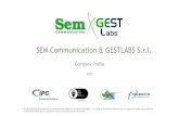 SEM Communication & GESTLABS S.r.l. SEM Communication & GESTLABS S.r.l. Company Profile 2017 I contenuti