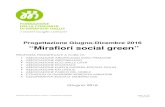 Progettazione Giugno-Dicembre 2016 “Mirafiori social green”€¦ · Fondazione della Comunità di Mirafiori – Progettazione Partecipata Pagina 1/17 11 giu 2016 Progettazione