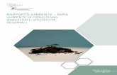 RAPPORTO AMBIENTE - SNPA · 2018-03-19 · SNPA | 02 2017 ISPRA e le ARPA/APPA sono i principali produttori e detentori dei dati e della conoscenza dell’ambiente. Il Rapporto Ambiente