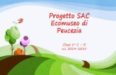 Progetto SAC Ecomuseo di Peucezia · PDF file Progetto SAC sulla musica: “Giochiamo con le note”. Così, un mercoledì di maggio, ci siamo recati in Municipio dove ci aspettavano