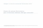 Piano di azione Preventiva per il Sistema italiano del gas ...€¦ · Allegato 1 al decreto ministeriale18 dicembre 2019 . Piano di azione Preventiva . per il Sistema italiano del