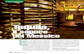Tequila, - Master Meeting · 2016-10-27 · Hacienda El Carmen Hotel & Spa Km. 58 Carr. Gdl.-Tala-Etzatlá Ahualulco de Mercado Tel. 01800 561 4053 Un luogo unico, un’accoglienza