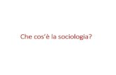 Che cos’è la sociologia? - people.unica.it€¦ · Soluzione analitica o formale (Georg Simmel, 1858-1918) La sociologia non è una scienza che studia una determinata classe di