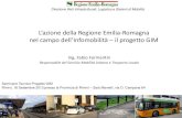 L’azione della Regione Emilia-Romagna nel campo dell ... · Le previsioni insediative come prerequisito di fattibilità devono tenere conto della mobilità indotta e delle caratteristiche