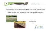 Ripristino della funzionalità dei suoli nelle aree degradate del …orgprints.org/32419/1/Present_seminario resolve_23... · 2017-12-11 · T0 T1 0 50 100 150 200 250 compost clover