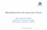 Metabolismo ed esercizio fisico - Giorgio Pasetto · RETINA glicolisi Ciclo di Krebs Fosfocreatina Glicogeno intramuscolare Trigliceridi intramuscolari . Variazioni ormonali indotte