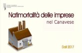 Le cooperative torinesi - Rosse Torri · Le componenti imprenditoriali nel Canavese e nella provincia di Torino. Incidenza % anno 2017 23,8% 22,1% 6,5% 11,3% 10,2% 9,7% 33,9% 27,4%