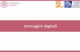 Immagini digitali - Pavia · 2019-10-28 · 27 Nel caso di immagini in “bianco e nero” la scala dei toni è costituita dai livelli di grigioche la compongono Nelle immagini a