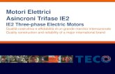 Motori Elettrici Asincroni Trifase IE2 Motori TECO... · Motori Elettrici Asincroni Trifase IE2 IE2 Three-phase Electric Motors Qualità costruttiva e affidabilità di un grande marchio