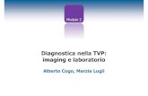 Diagnostica nella TVP: imaginge laboratoriofad-tvpacuta.ecm33.it/cm/pdf/Modulo2.pdf · C-US positiva alla presentazione 400 (23,5%) C-US positiva a 5-7 gg 12 Prevalenza totale TVP