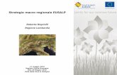 Strategia macro-regionale EUSALP - PROGRAMMA SEE · Nel contesto di questo evento i rappresentanti di Stati e regioni che ... - L'esito della vasta consultazione pubblica on-line