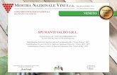 Mostra nazionale Vini - Pramaggiore - Venezia · Created Date: 5/7/2018 10:48:15 PM