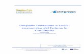 L’impatto Territoriale e Socio- economico del Turismo in Campania · 2017-02-03 · 3.2.2. Il movimento turistico regionale per esercizi ricettivi 81 3.2.3. Analisi dei flussi per