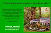 Olio di palma per produrre energia pulita? Montecitorio a Roma · Guadalupe Rodríguez info@salvalaselva.org Presentazione di Salva la Selva per l’evento "Olio di palma insostenibile"