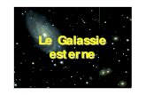 Le Galassie esterne - Istituto Nazionale di Fisica Nuclearepersonalpages.to.infn.it/~galeotti/Lezioni/Fisica e... · 2005-05-30 · • Le misure di massa delle galassie possono essere