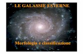 LE GALASSIE ESTERNE e... · 2006-07-01 · LE GALASSIE IRREGOLARI-Hannouna massa minore di 1/100 diquella dellaVia Lattea-Non hannouna strutturabendefinita-Spessosonosatelliti digalassie