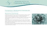 Formazione in Biodinamica Craniosacrale...La Biodinamica Craniosacrale è una modalità rivolta all’organismo nella sua interezza. Si basa sulla presenza di un respiro vitale, una