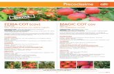 9597-COT-Catalogue Fruitier Italie 2017 Magic.pdf · 5 Catalogo 2017 Precocissime FERIA COT (cov) 2010-08 Una varietà precoce con ottimo sapore. COSTITUTORE : COT INTERNATIONAL,
