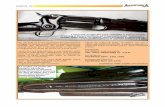Il sito ufficiale CNDA - Avancarica M. 01-2019 LAVORO mio ...cnda.it/wp-content/uploads/2019/05/Avancarica-M.-01-2019...carabina Mod. 1855 “New Model Sporting Rifle” sia stata
