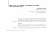 New taxa of Impatiens (Balsaminaceae) from Madagascar. Isciencepress.mnhn.fr/sites/default/files/articles/pdf/a2002n2a15.pdf · I.albopurpurea, I. navicula, I. mandrakae, I. mananteninae,