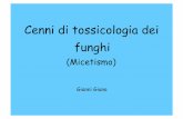 Cenni di tossicologia dei fungh ifungart.it/joomla/docs/Tossicologia2016.pdf · (Micetismo) Gianni Giana . La Sicurezza alimentare La SICUREZZA ALIMENTARE riguarda l’ALIMENTO dalla