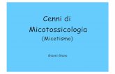 Cenni di Micotossicologia · (Micetismo) Gianni Giana . CRITICITA’ • I funghi producono un’innumerevole quantità di sostanze diverse di cui, nella maggior parte dei casi, non