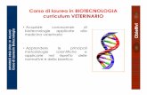 Corso di laurea in BIOTECNOLOGIA curriculum VETERINARIO - …users2.unimi.it/biotecnologia/wp-content/uploads/... · 2015-03-25 · Laurea triennale in Biotecnologie Veterinarie UNIVERSITÀDEGLI