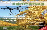 Aeromobili al servizio dei campi - Agrimpresaonline Webzine · 2019-10-17 · 5-27 novEmbRE 2016 baccanale 2016: chic-chi, grani e farine A Imola e dintorni incontri, mostre, menù