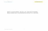 RELAZIONE SULLA GESTIONE BILANCIO CONSOLIDATO 2018 ... Relazione Bilancio Consolidato 2018 In relazione