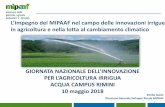 GIORNATA NAZIONALE DELL’INNOVAZIONE PER L’AGRICOLTURA ... · sviluppo dell’agrioltura di precisione in Italia” (2017), il quale costituisce un approfondimento sull’innovazione