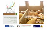 Costi di produzione e mercato in italia e in Europa · Bilancio di approvvigionamento della carne suina in Italia (migliaia di t) (2006-2011) (*) Dati provvisori (**) Sono stati sottratti