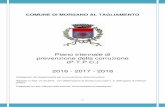 Piano triennale di prevenzione della corruzione (P.T.P.C ... · COMUNE DI MORSANO AL TAGLIAMENTO Piano triennale di prevenzione della corruzione (P.T.P.C.) 2016 - 2017 - 2018 Predisposto