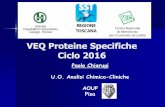 VEQ Proteine Specifiche Ciclo 2016...2016/11/14  · CV 2016 Prestazione Metodo Max IgA IMMUNODIFF. 23,4 Beta 2 - Microglobulina CHEMILUM. LIAISON 22,2 Beta 2 - Microglobulina ELFA