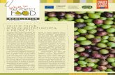 OLIO DI OLIVA, ALTA QUALITÀ EUROPEA: IL PROGETTO · 2017-02-15 · L’olio d’oliva consiste nella misce-la di oli d’oliva raffinati, che abbiano quindi subito un processo industria
